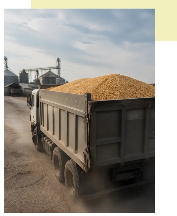 Перевозка сельхозпродукции навалом в Лобню по цене от 3098 р. | Агросервис-Лбн